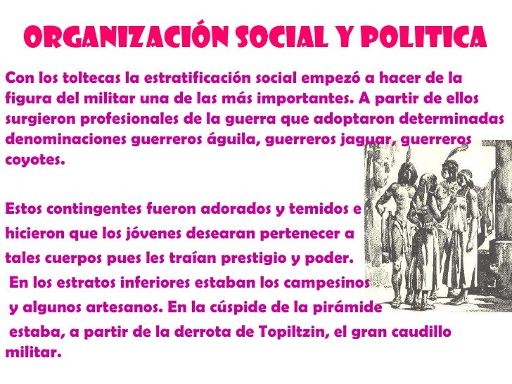 OrganizacióN Social Y Politica