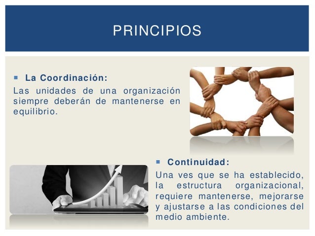 Ajustarse A Las Condiciones O El Ambiente Organización Unidad 3