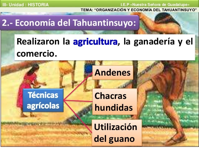 Organización y economía del Tahuantinsuyo