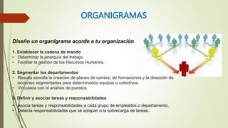 ORGANIGRAMAS
Diseño un organigrama acorde a tu organización
1. Establecer la cadena de mando
• Determinar la jerarquía del...