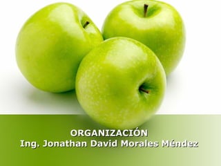 ORGANIZACIÓN  Ing. Jonathan David Morales Méndez  