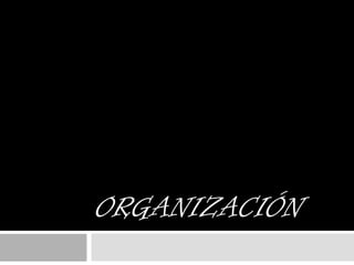 Organización  