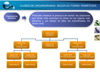 CLASES DE ORGANIGRAMAS. SEGÚN SU FORMA: RAMIFICADA Organigramas Verticales Pretenden destacar la jerarquía de mando: las posiciones que tienen más autoridad se sitúan en los lugares más elevados y, por debajo de ellas, las subordinadas. De menor nivel. DIRECTOR GENERAL DIRECTOR DE PRODUCCIÓN DIRECTOR  COMERCIAL DIRECTOR DE FINANCIACIÓN DIRECTOR  DE MONTAJE DIRECTOR DE ACABADOS DIRECTOR  DE INVESTIGACIÓN DIRECTOR DE CONTABILIDAD EMPLEADOS EMPLEADOS EMPLEADOS EMPLEADOS 
