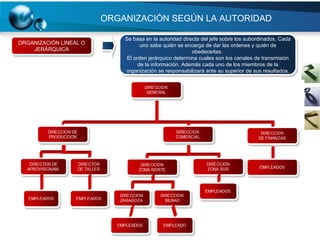 ORGANIZACIÓN   SEGÚN LA AUTORIDAD ORGANIZACIÓN LINEAL O JERÁRQUICA Se basa en la autoridad directa del jefe sobre los subordinados. Cada uno sabe quién se encarga de dar las ordenes y quién de obedecerlas.  El orden jerárquico determina cuales son los canales de transmisión de la información. Además cada uno de los miembros de la organización se responsabilizará ante su superior de sus resultados. 