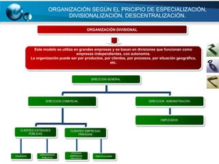 ORGANIZACIÓN SEGÚN EL PRICIPIO DE ESPECIALIZACIÓN, DIVISIONALIZACIÓN, DESCENTRALIZACIÓN. ORGANIZACIÓN DIVISIONAL Este modelo se utiliza en grandes empresas y se basan en divisiones que funcionan como empresas independientes, con autonomía. La organización puede ser por productos, por clientes, por procesos, por situación geográfica, etc. 