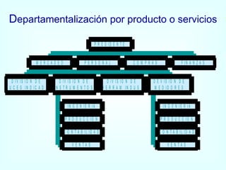 D epartamentalización por producto o servicios 