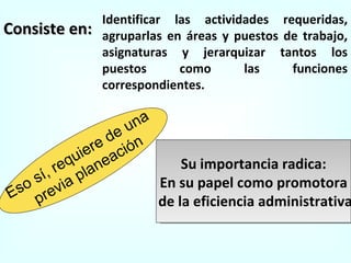 Consiste en: Identificar las actividades requeridas, agruparlas en áreas y puestos de trabajo, asignaturas y jerarquizar tantos los puestos como las funciones correspondientes. Eso sí, requiere de una  previa planeación Su importancia radica: En su papel como promotora de la eficiencia administrativa 