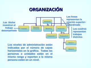 ORGANIZACIÓN Los cuadros representan trabajos distintos Los  títulos muestran el trabajo desempeñado Las líneas representan la relación superior-subordinado Los niveles de administración están indicados por el número de capas horizontales en la gráfica.  Todas las personas o unidades están en el mismo rango y reportan a la misma persona están en un nivel. Presidente Finanzas Recursos  Humanos Marketing Producción Producción 1 Producción 2 Obrero 1 Obrero 2 