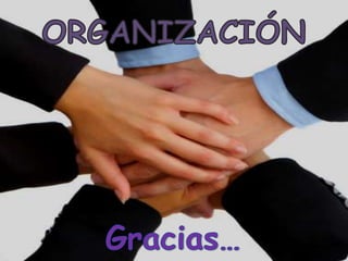 La Organizacion