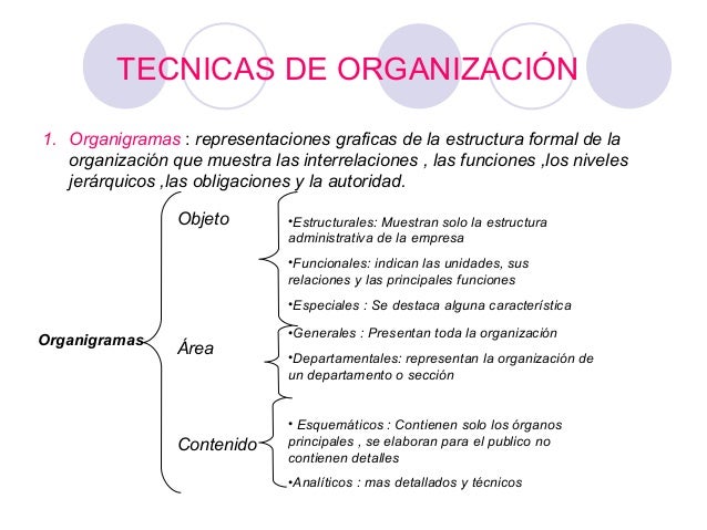 Organizacion