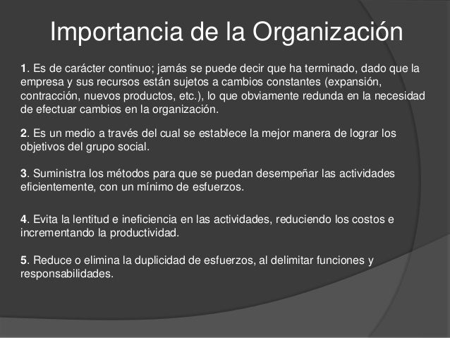 Organizacion