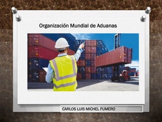 CARLOS LUIS MICHEL FUMERO
Organización Mundial de Aduanas
 