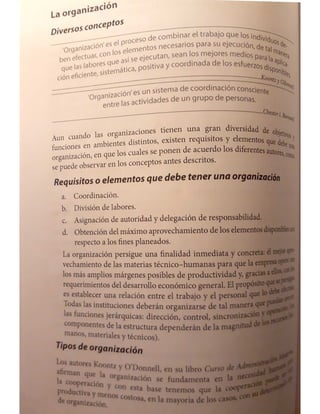 organizacion.pdf