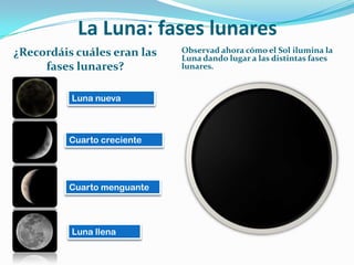 Se utilizan por ejemplo para predecir el tiempo. ¿Os suena el satélite Meteosat?La Luna: fases lunares¿Recordáis cuáles eran las fases lunares?Observad ahora cómo el Sol ilumina la Luna dando lugar a las distintas fases lunares.Luna nuevaCuarto crecienteCuarto menguanteLuna llena