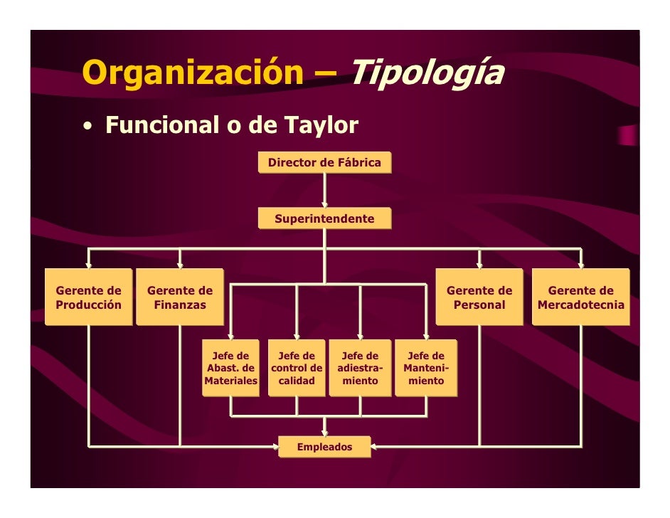 Organizacion Presentaciondic2008