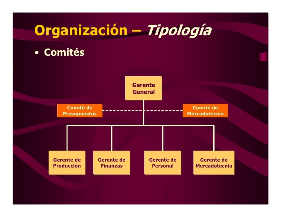 Organizacion Presentaciondic2008