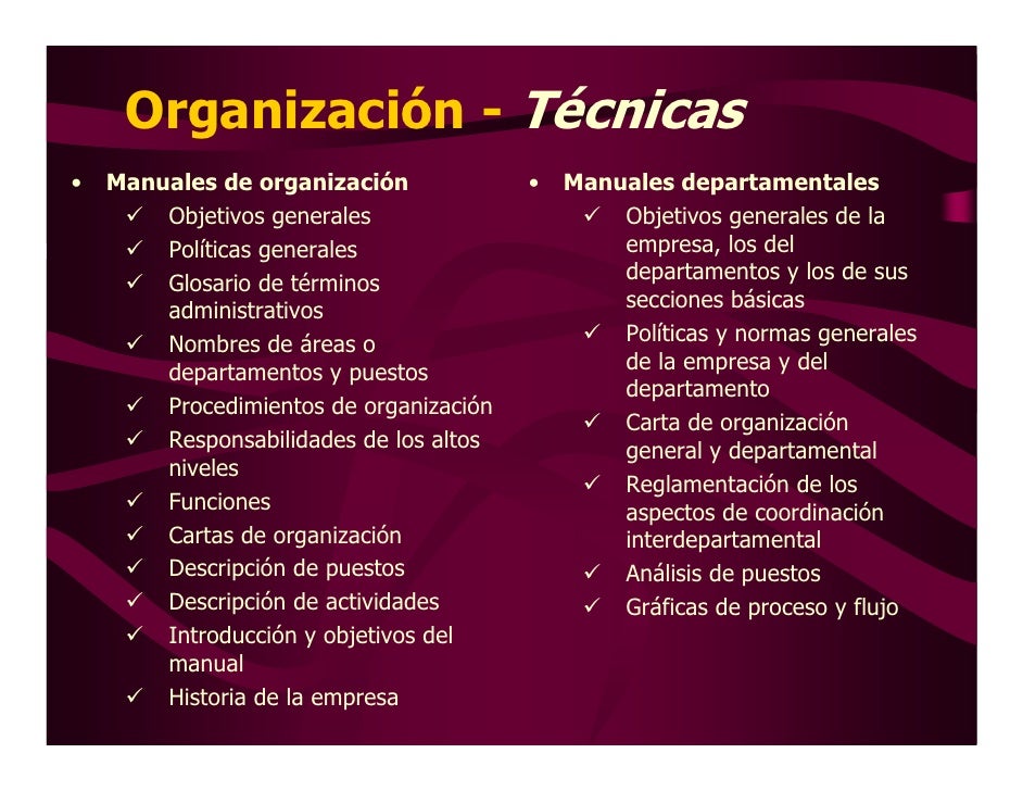 Organizacion Presentaciondic2008
