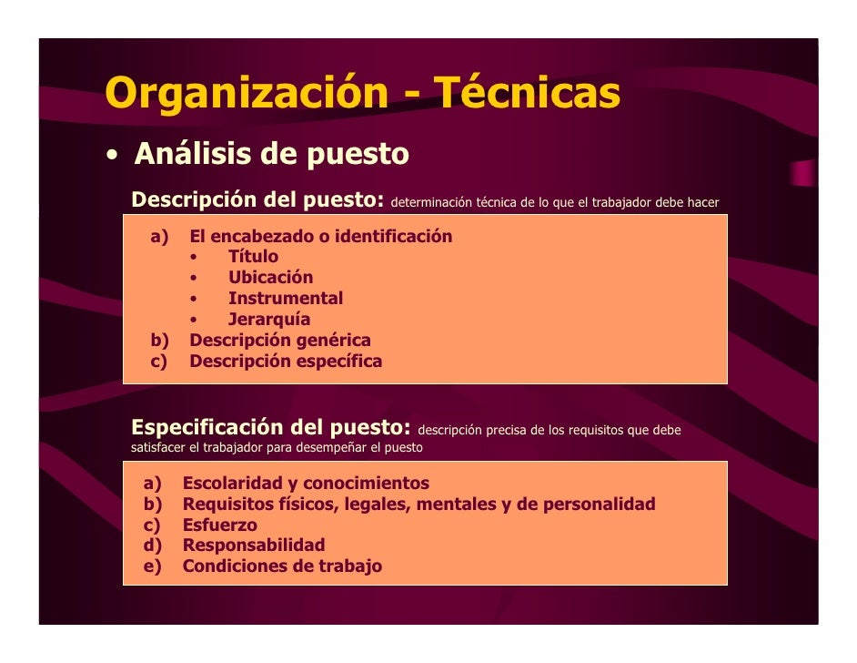 Organizacion Presentaciondic2008