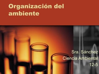 Organización del
ambiente
Sra. Sánchez
Ciencia Ambiental
12-5
 