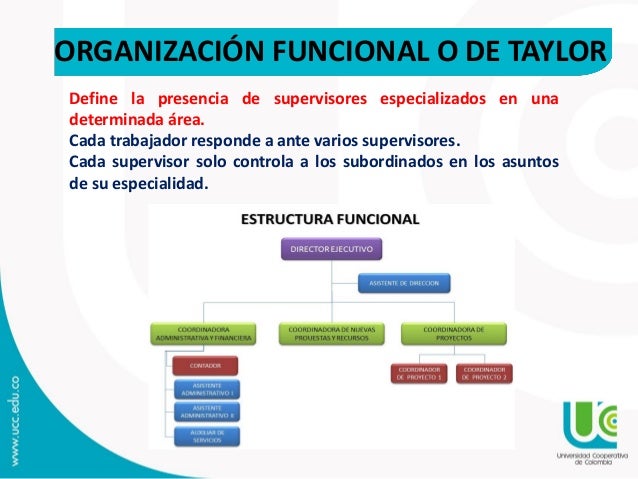 Organizacion cj