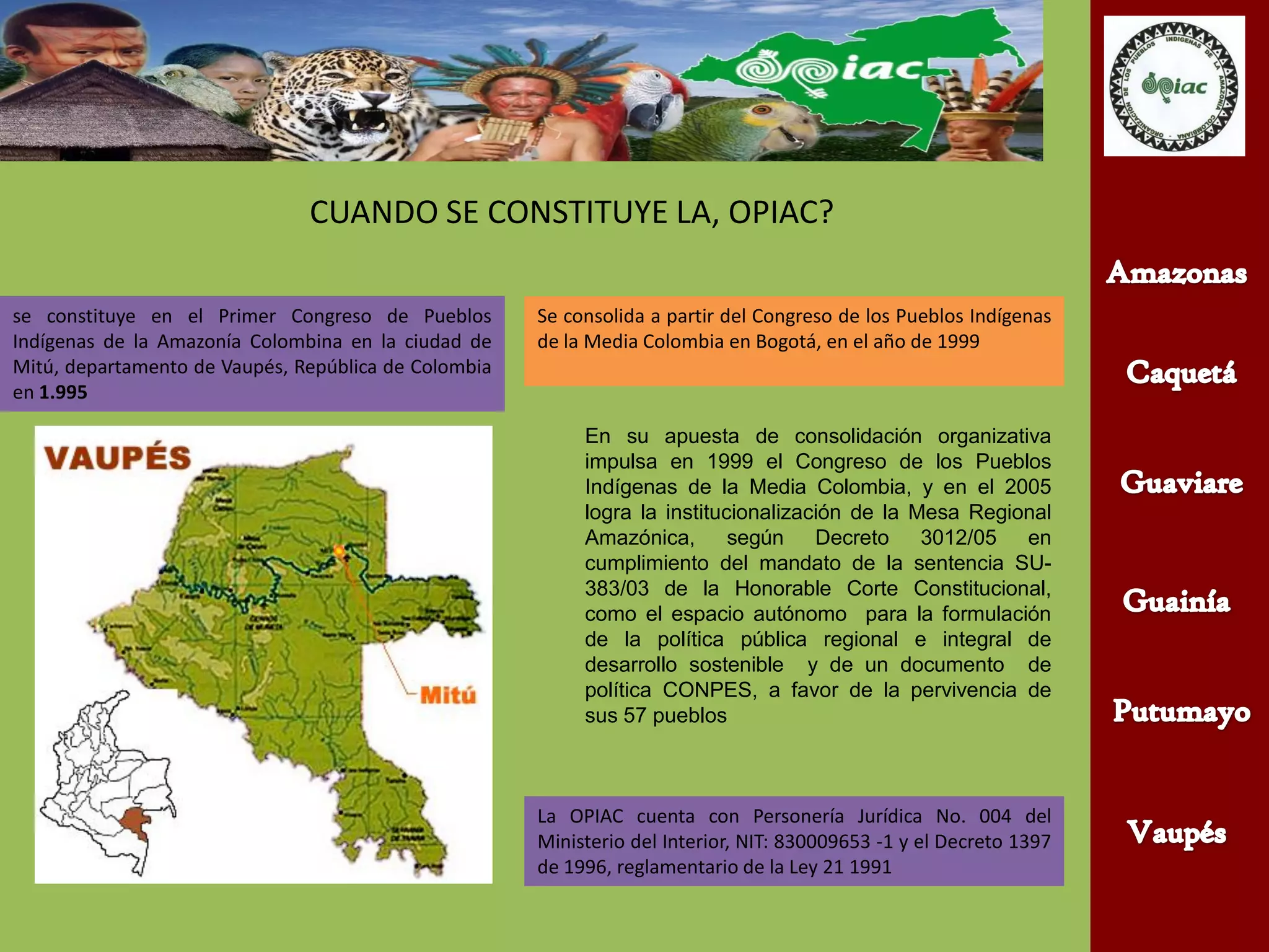 Organizacion de los pueblos indigenas de la amazonia colombiana | PPT ...