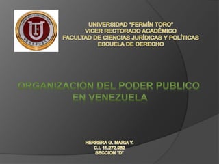 Organizacion del poder publico en venezuela