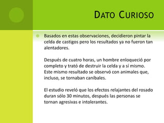 DATO CURIOSO
 Basados en estas observaciones, decidieron pintar la
celda de castigos pero los resultados ya no fueron tan
alentadores.
Después de cuatro horas, un hombre enloqueció por
completo y trató de destruir la celda y a sí mismo.
Este mismo resultado se observó con animales que,
incluso, se tornaban caníbales.
El estudio reveló que los efectos relajantes del rosado
duran sólo 30 minutos, después las personas se
tornan agresivas e intolerantes.
 