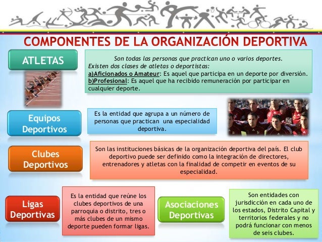 Organizacion deportiva en venezuela