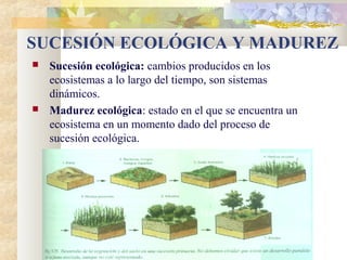 Organizacion diversidad biosfera CTM | PPT