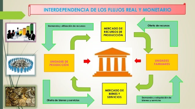 Organizacion economica