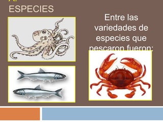 A.
ESPECIES
dfgffffffffffffffffffffffffffffffffffffffffffffffffffffff
fffffffffffffffffffffffffffffffffffffffffffffffffffffffffff
fffffffffffffffffffffffffffffffffffffffffffffffffffffffffff
fffffffffffffffffffffffffffffffffffffffffffffffffffffffffff
fffffffffffffffffffffffffffffgggggggggggggg
ggggggggggggggggggggg
Entre las
variedades de
especies que
pescaron fueron:
 