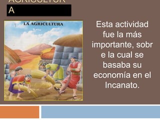 AGRICULTUR
A
Esta actividad
fue la más
importante, sobr
e la cual se
basaba su
economía en el
Incanato.
 