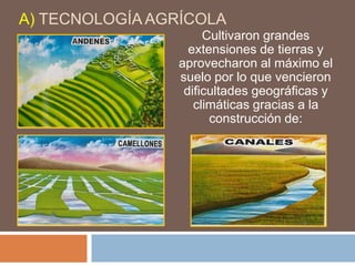 A) TECNOLOGÍA AGRÍCOLA
Cultivaron grandes
extensiones de tierras y
aprovecharon al máximo el
suelo por lo que vencieron
dificultades geográficas y
climáticas gracias a la
construcción de:
 