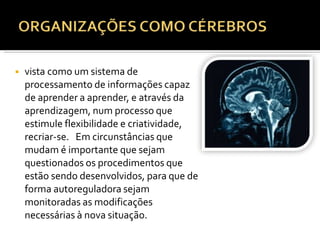 ◾ vista como um sistema de
processamento de informações capaz
de aprender a aprender, e através da
aprendizagem, num processo que
estimule flexibilidade e criatividade,
recriar-se. Em circunstâncias que
mudam é importante que sejam
questionados os procedimentos que
estão sendo desenvolvidos, para que de
forma autoreguladora sejam
monitoradas as modificações
necessárias à nova situação.
 