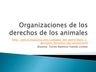 http://perros.mascotia.com/cuidados-del-perro/leyes-y-
                     derechos/derechos-del-animal.html
                  Alumna Torres Ramírez Yamile Linette
 