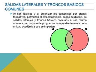 SALIDAS LATERALES Y TRONCOS BÁSICOS
COMUNES
  Al ser flexibles y al organizar los contenidos por etapas
   formativas, permitirán el establecimiento, desde su diseño, de
   salidas laterales y troncos básicos comunes a una misma
   área o a un conjunto de programas independientemente de la
   unidad académica que se impartan.
 
