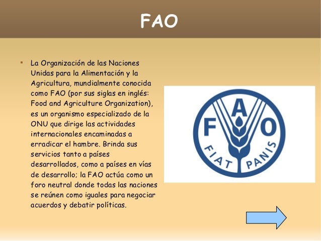 Resultado de imagen de CITA 5 ORGANIZACIONES SUPRANACIONALES