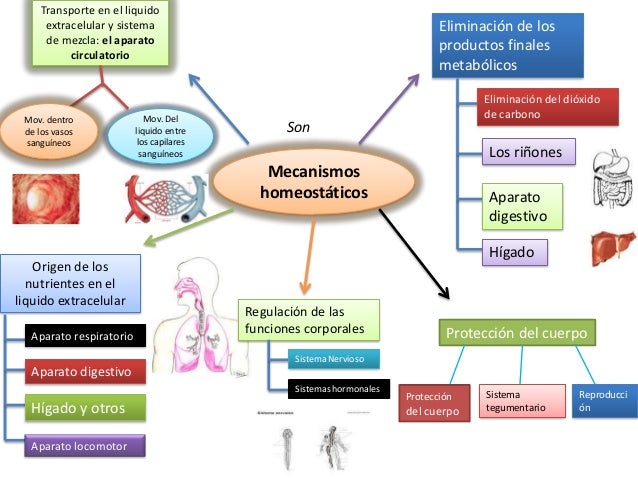 Imagen relacionada