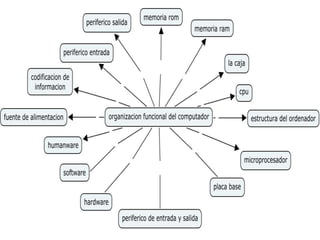 Organizacion funcional mapa mental
