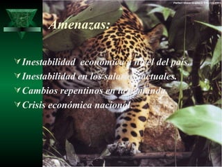 Amenazas:

 Inestabilidad económica a nivel del país.
 Inestabilidad en los salarios actuales.
 Cambios repentinos en la demanda.
 Crisis económica nacional.
 