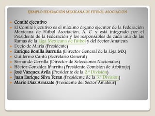  Comité ejecutivo
 El Comité Ejecutivo es el máximo órgano ejecutor de la Federación
Mexicana de Fútbol Asociación, A. C. y está integrado por el
Presidente de la Federación y los responsables de cada una de las
Ramas de la Liga Mexicana de Fútbol y del Sector Amateur:
 Decio de María (Presidente)
 Enrique Bonilla Barrutia (Director General de la Liga MX)
 Guillermo Cantú (Secretario General)
 Fernando Cerrilla (Director de Selecciones Nacionales)
 Héctor González Iñarritu (Presidente Comisión de Arbitraje)
 José Vázquez Ávila (Presidente de la 2.ª División)
 Juan Enrique Silva Teran (Presidente de la 3.ª División)
 Mario Díaz Arrazate (Presidente del Sector Amateur)
 