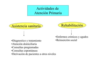 Organizacion Sanitaria