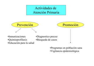 Organizacion Sanitaria