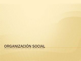 ORGANIZACIÓN SOCIAL
 