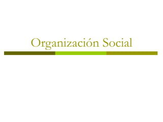 Organización Social 