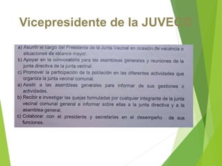 Vicepresidente de la JUVECO
 