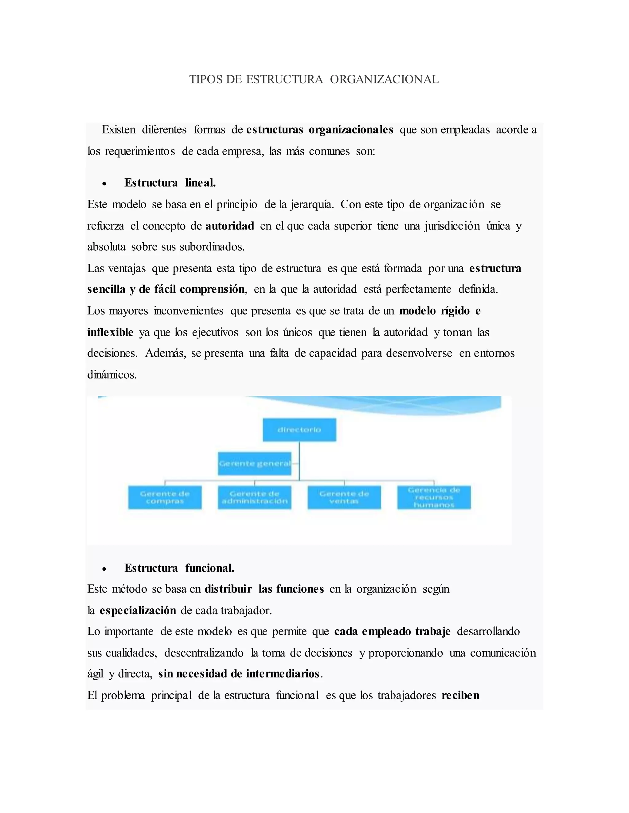 Tipos de estructura organizacional | PDF