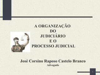 A ORGANIZAÇÃO  DO  JUDICIÁRIO  E O  PROCESSO JUDICIAL José Corsino Raposo Castelo Branco Advogado 