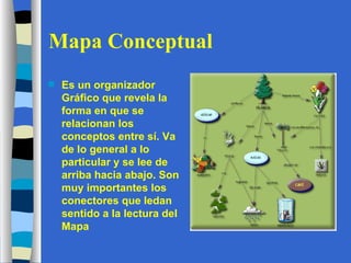 Mapa Conceptual Es un organizador Gráfico que revela la forma en que se relacionan los conceptos entre sí. Va de lo general a lo particular y se lee de arriba hacia abajo. Son muy importantes los conectores que ledan sentido a la lectura del Mapa 