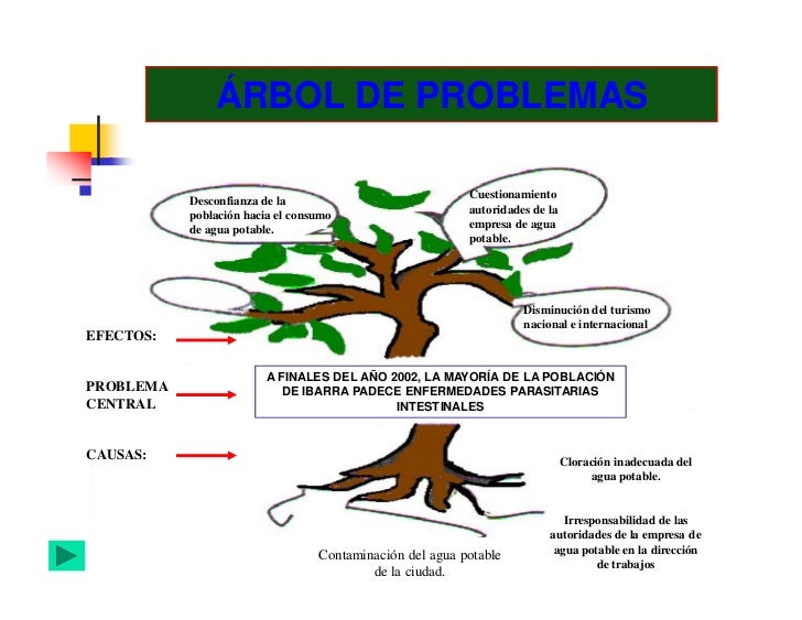 Organizadores graficos